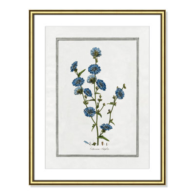 Colombe "Soft Botanical I" Print