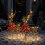 Holiday Lighting