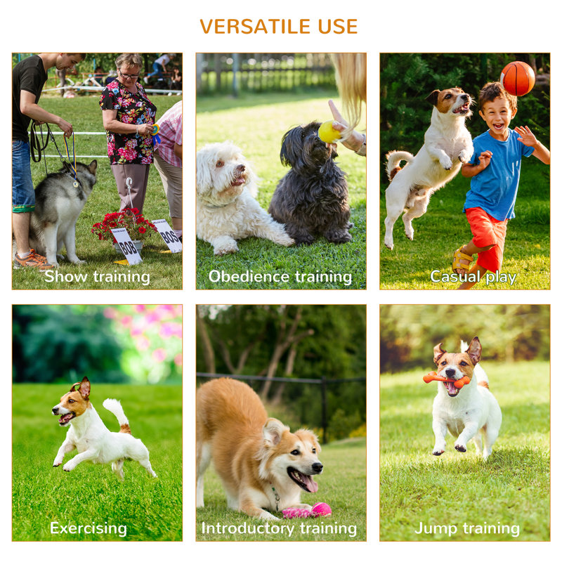 Adjustable Dog Agility Training Set with Jump Ring and Hurdle