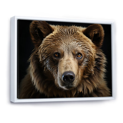 Bear Portrait - Animals Canvas Art Print