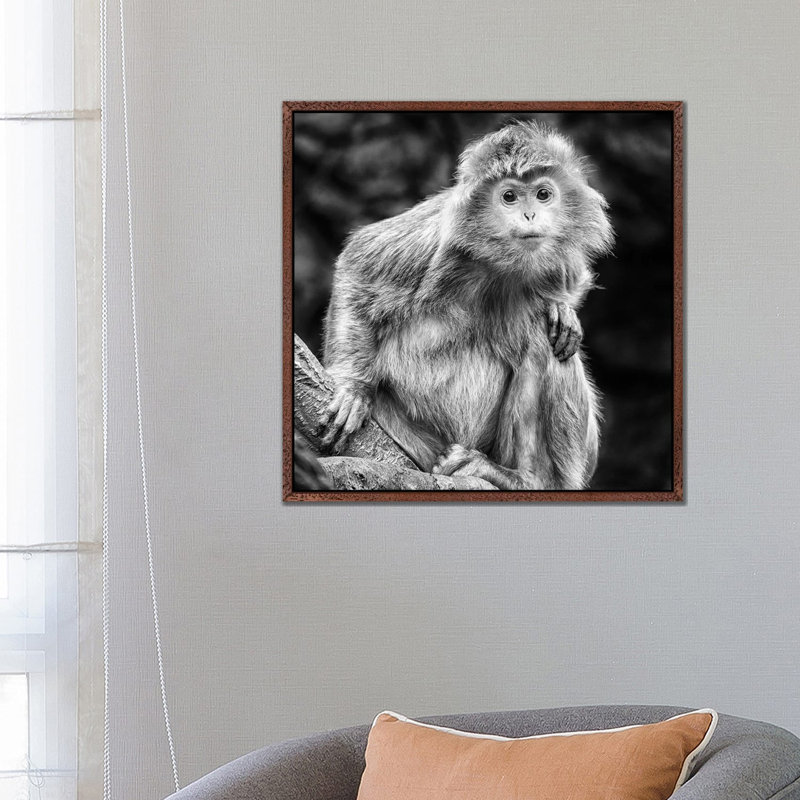 Aubergray II by Elizabeth Karlson - Print on Canvas, Brown Framed, 66.04 cm H x 66.04 cm W