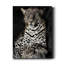 «African Leopard» par Danita Delimont - reproduction de photo sur toile tendue-456636358