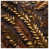 Dark Bronze Medium Gold