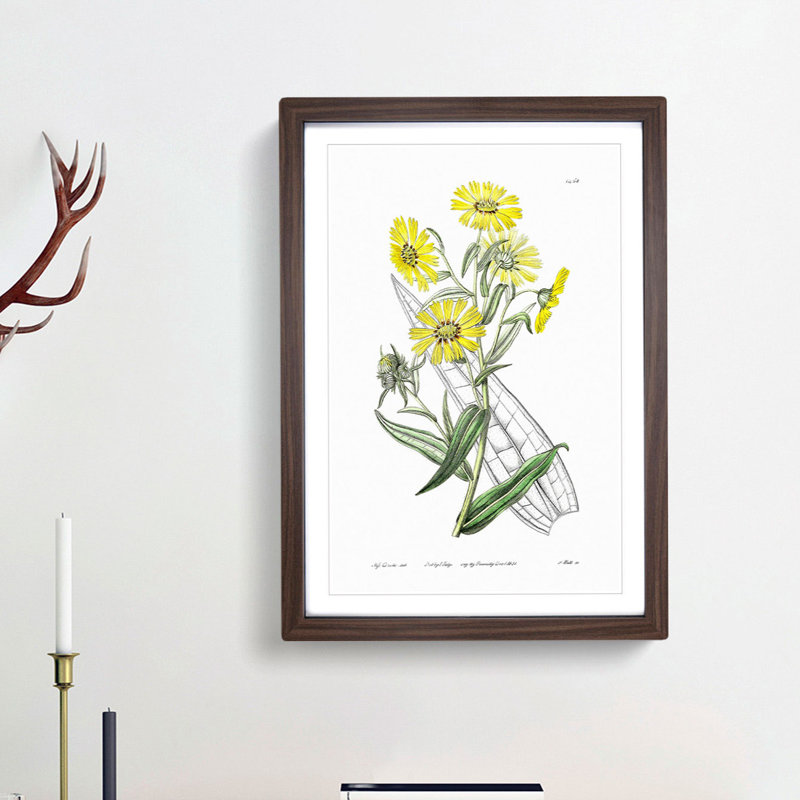 Yellow Daisies - Picture Frame Painting Print, 36cm H x 27cm W x 2cm D, Walnut Framed