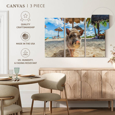 Cochon sale sur la plage