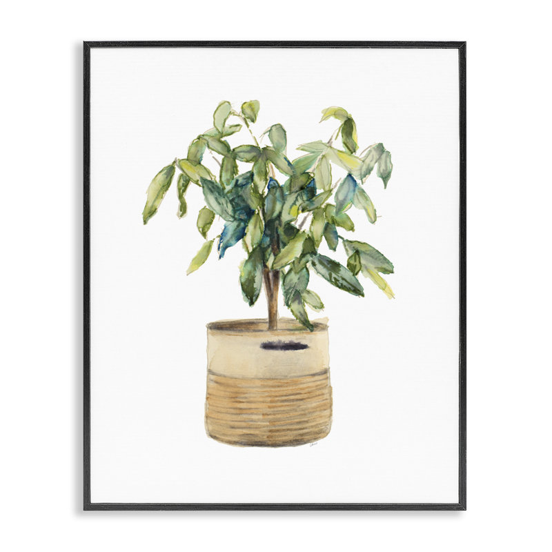 Art en giclée encadrée par Lanie Loreth, H 30 po x l 24 po, Giclée encadrée noir minuit