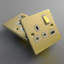 Polished Brass Twin Isolated Coaxial Socket