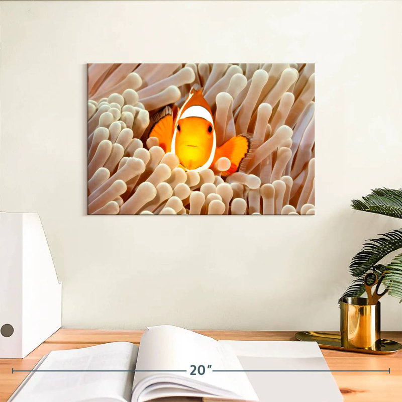 Clownfish Anemone, 8" H x 12" W
