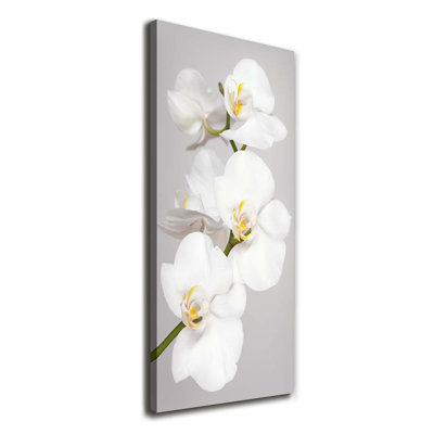 White Orchid - Wrapped Canvas Print