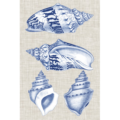 Navy & Linen Shells II by Vision Studio - Painting Print