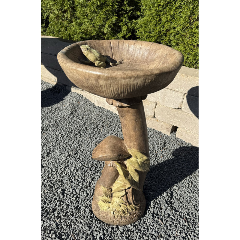 Bain d'oiseaux aux champignons