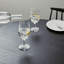 Elegance Water Glass 16 fl oz