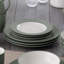 Noritake Colorwave Rim Dinner Plates, 11"-85108203