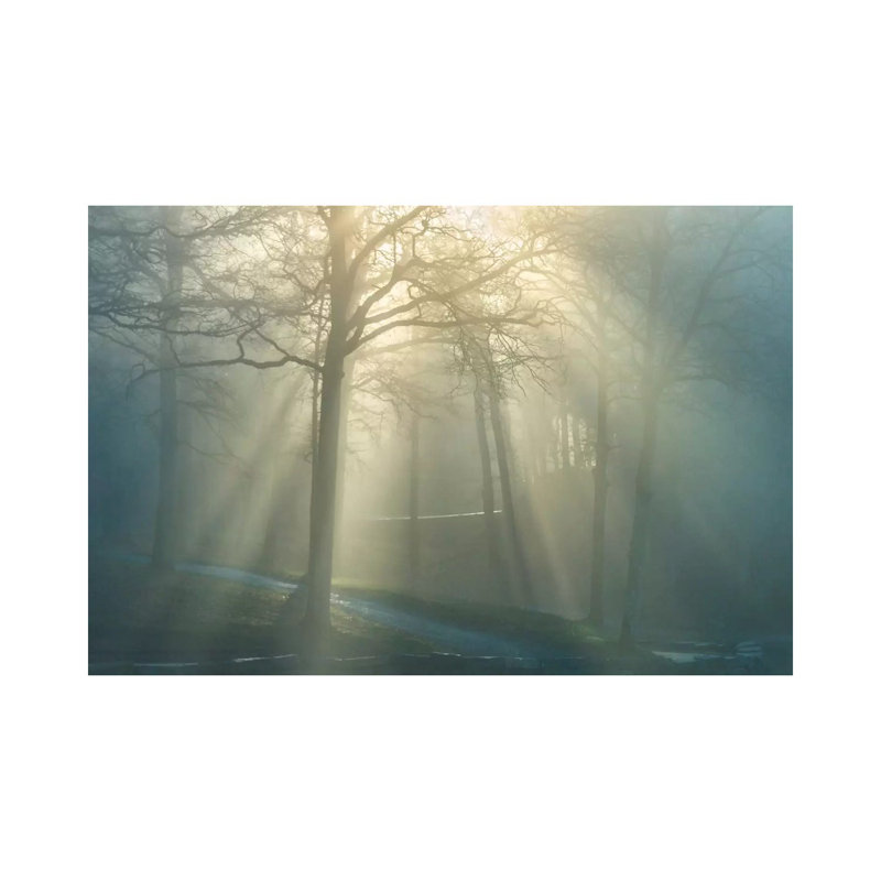 Forest Melody by Ben Heine - Print on Canvas, Wrapped Canvas, 101.6 cm H x 66.04 cm W x 3.175 cm D