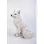 Figurine de renard assis-120612155