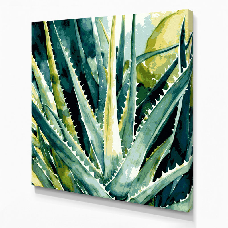 Art mural sur toile Botanical Aloe Vera, H 16 po x l 16 po