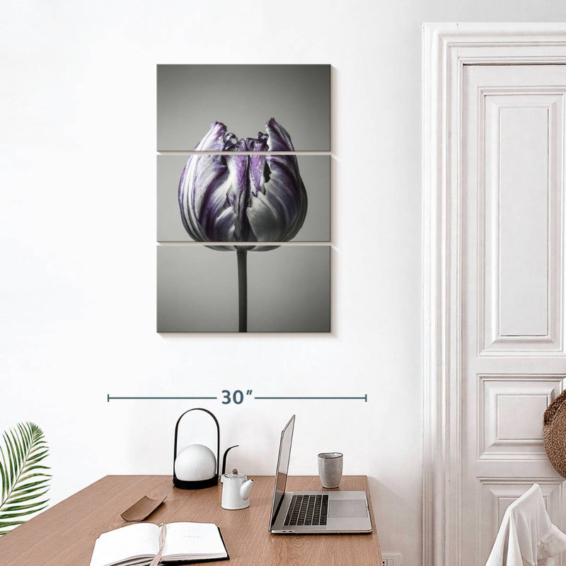 Harnek Baroque I, 32" H x 20" W