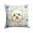 Lhasa Apso blanc