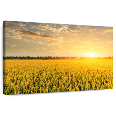 Alvord Sunset Field