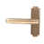 Polished Bronze