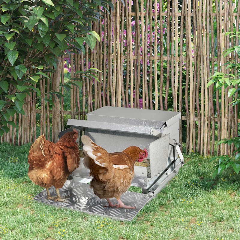 Automatic Chicken Feeding Device - 25 Lbs Capacity, Galvanized & Aluminium, , Promotes Thriving Poultry Population Feeder Steel, Build