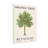 Plants &Flowers Orange Tree Botanical Illustration Print-1538329832