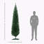 Arbre de Noël 8 pi