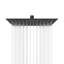 Rain Rain Shower Head 1.8 GPM GPM-100975608