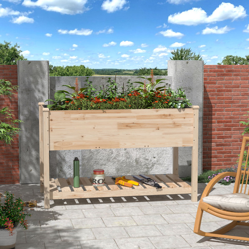 Kersh 47" X 24" All-Wood Raised Garden Bed With Varnish Finish, Storage Shelf, And Drainage Holes