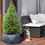 Reinforced Stone Bowl Planter, Faceted Shallow Planter, Bonsai Pot-1661337764-1661337767