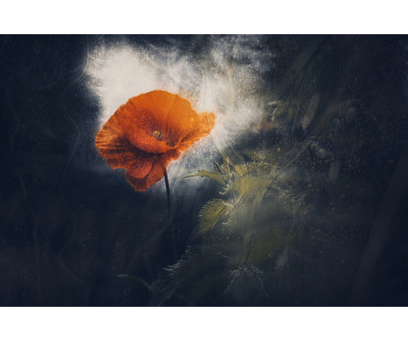 Wrapped Canvas Print, 81.28 cm H x 121.92 cm W