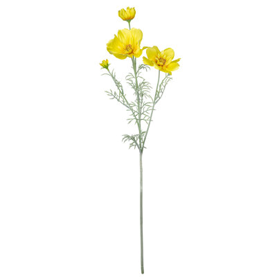 Audet Cornflower Stems