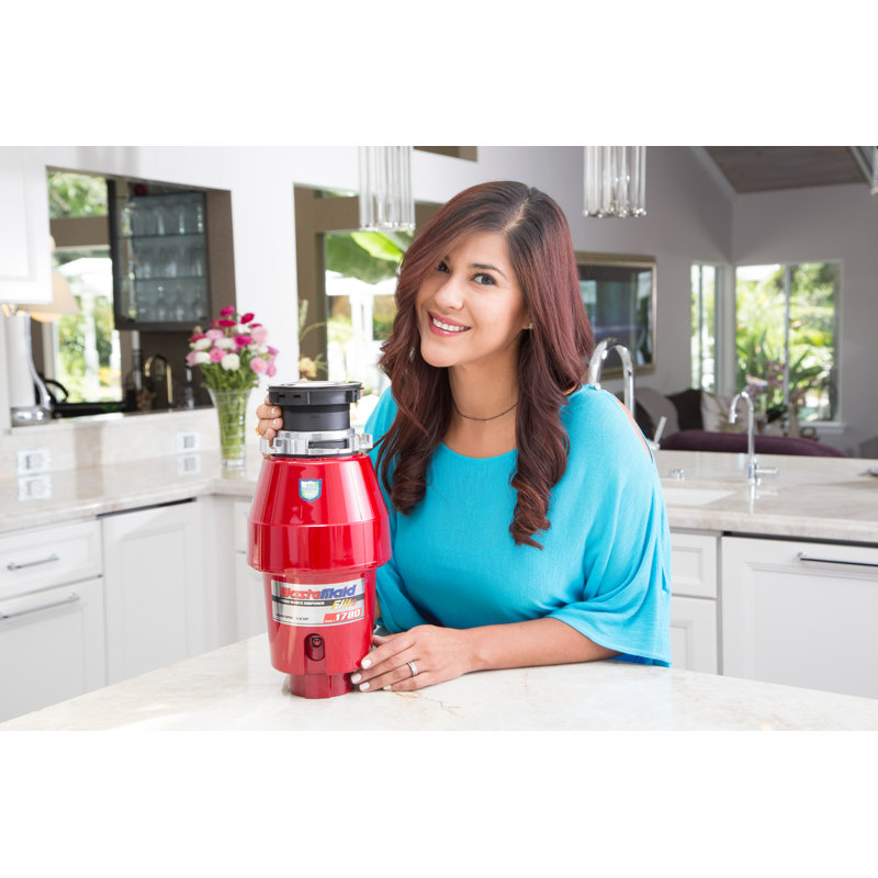 Mcwethy Waste Disposal with Continuous Feed