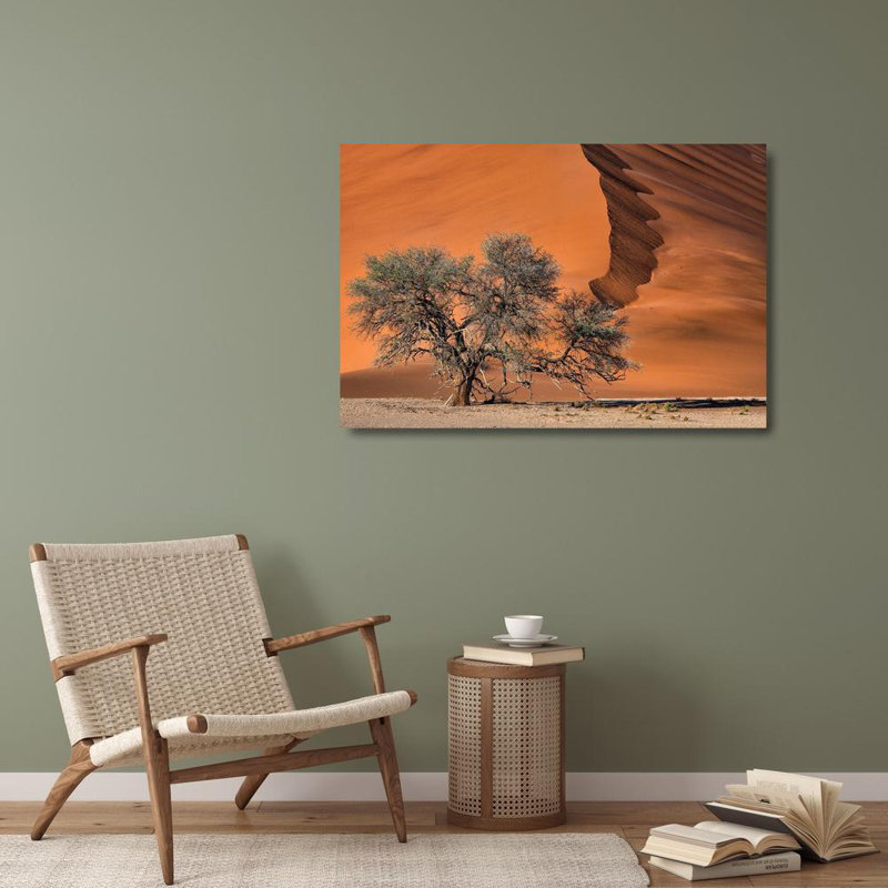 Art sur toile tendue avec Alcott Hill® Ruoppolo, Luigi Gallery: Acacia In The Desert, H 28 po x l 40 po