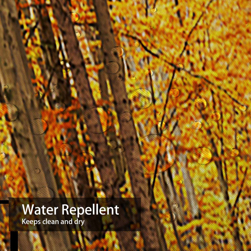 Rideau de douche Forest Autumn Road, L 72 po x l 78 po