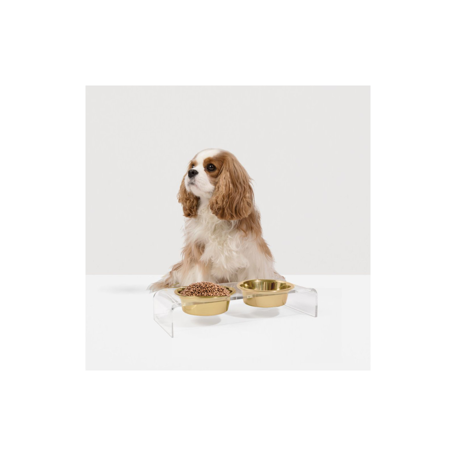 Small Clear Elevated Feeder with Gold Bowls, 1.5 cups