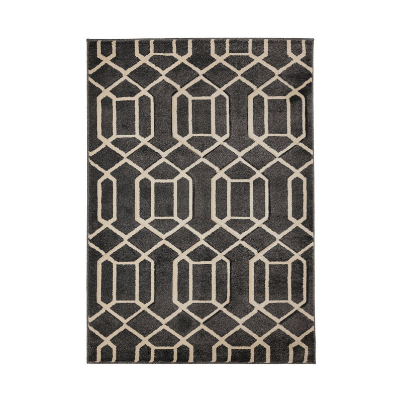 Tajmere Oriental Area Rug, Rectangle 120 x 170cm