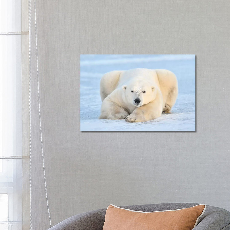 Polar Bear On Pack Ice, Churchill, Manitoba, Canada by Andre Gilden - Wrapped Canvas Print