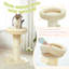 Scratching Post-2096858348