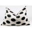 Silk Lumbar Rectangular Pillow Cover & Insert-540041479