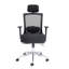 Mesh Task Chair