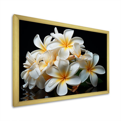 Blanc pureté de Plumeria Essence florale II - Plumeria, art mural