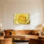 Plantes et fleurs, motif de fleurs roses jaunes-1690376715