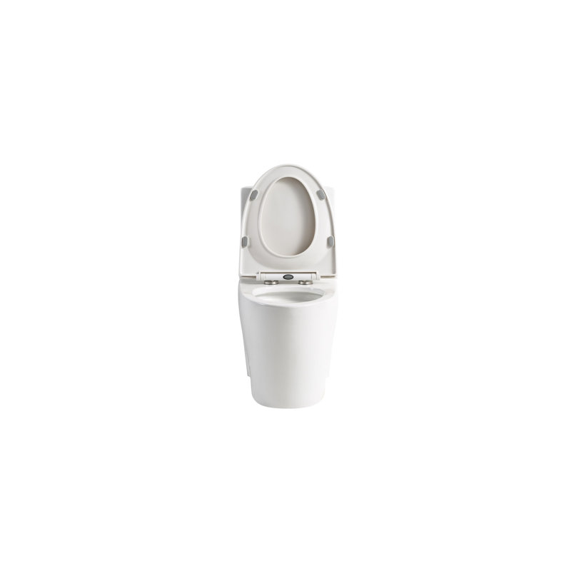 One Ceramic Toilet, 1.1/1.6 Dual Flush, Glossy White, Seat, Bathroom, Soft Close Flush White Ceramic, Height