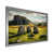 Silver Single Picture Framed