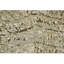 Animal Print Area Rug-70085280