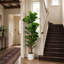 149.99 cm H Faux Fiddle Leaf Fig Tree Plant in Plastic and Cement