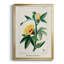 Turpin Tropical Botanicals VI, reproduction d'art encadrée-88436788-88436789