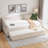 Velvet Daybed with Trundle, USB Port & Side Pockets | Button Tufted Back, Waved Arms with Piping | Space‑Saving Sofa Bed for Bedroom, Guest Room, or Living Room-1079114275