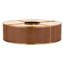 Gator 10 - Light Flush Mount